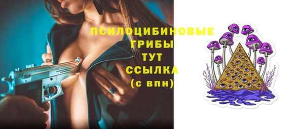 PSILOCYBIN Котовск