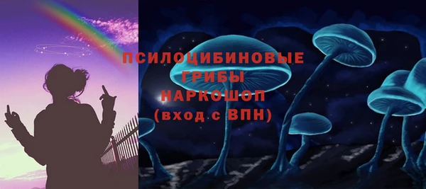 мяу мяу мука Переславль-Залесский