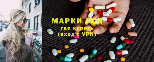 гидра Пересвет