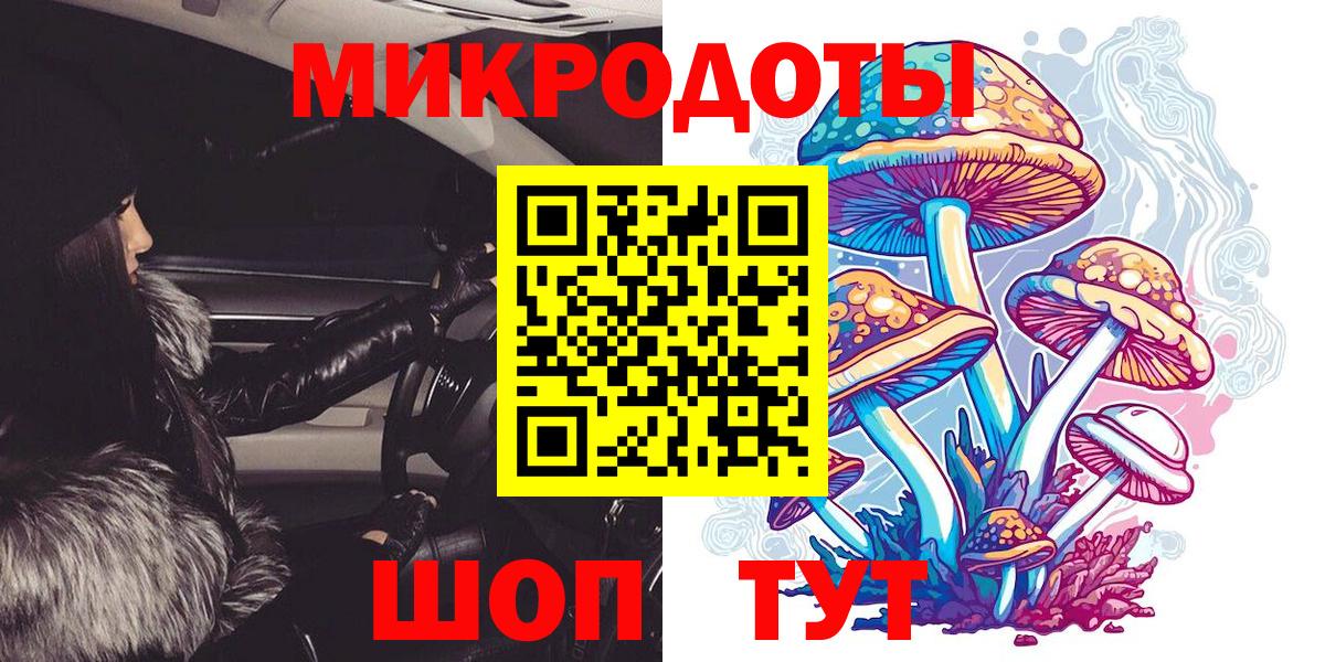 Галлюциногенные грибы Psilocybe  Вход с VPN  Псилоцибиновые грибы ЛСД  Куйбышев 