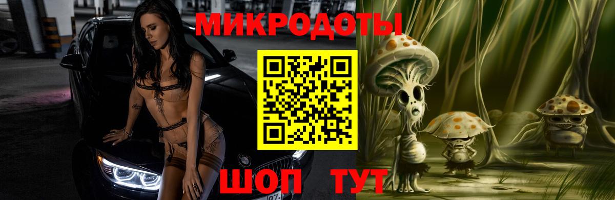 Псилоцибиновые грибы Psilocybe Куйбышев